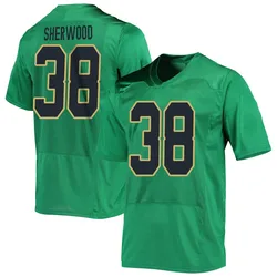 Men's Under Armour Davis Sherwood Notre Dame Fighting Irish Replica Green Football Jersey